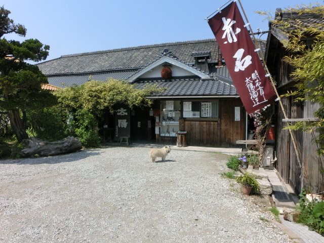 太陽酒造株式会社