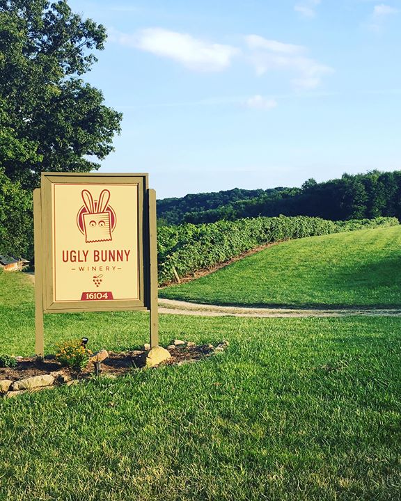 Ugly Bunny Winery / Marsh Vineyards at Mohican