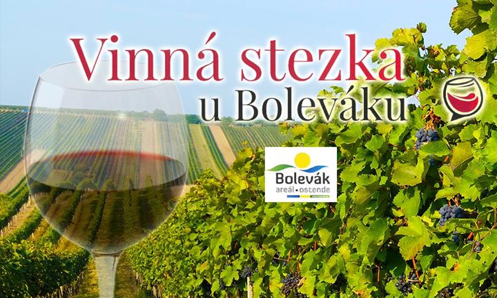 Vinná stezka u Boleváku