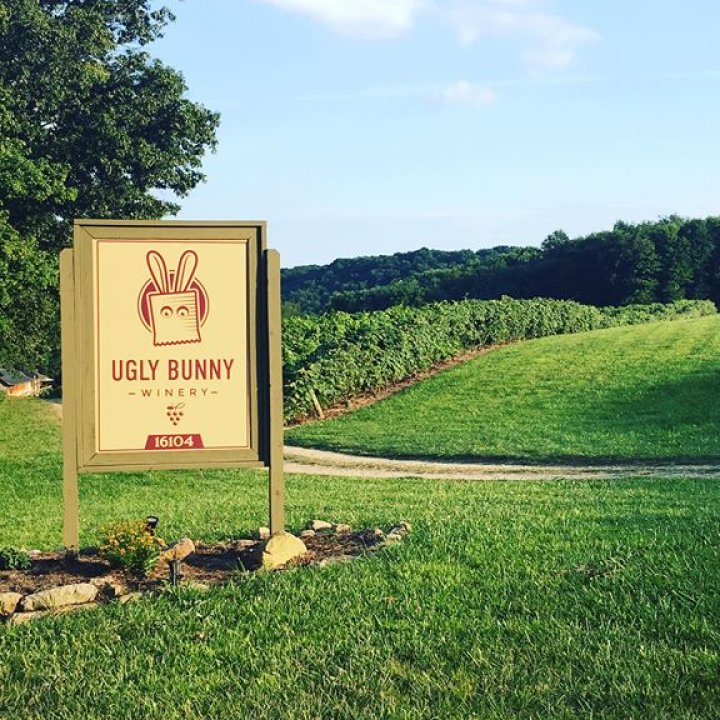 Ugly Bunny Winery / Marsh Vineyards at Mohican