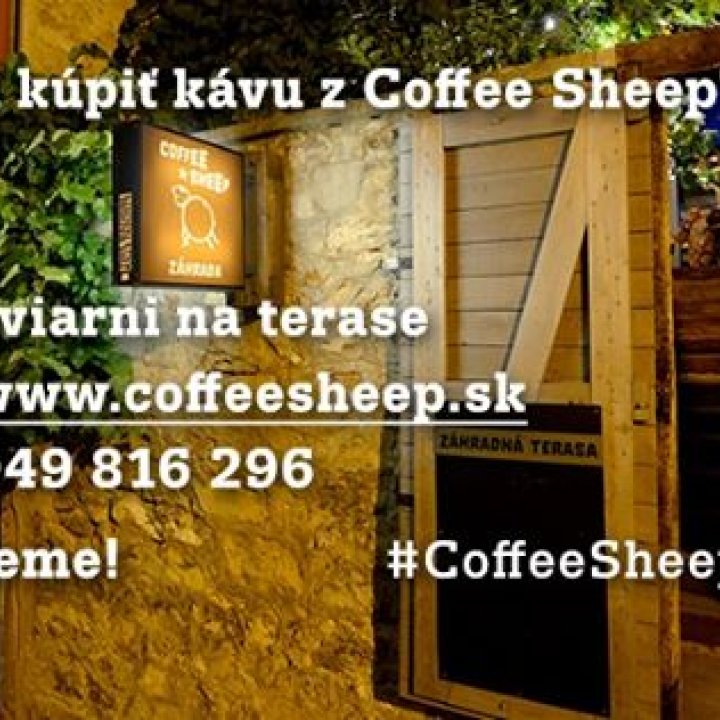 Coffee Sheep