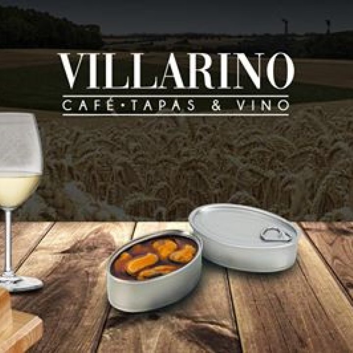 Villarino