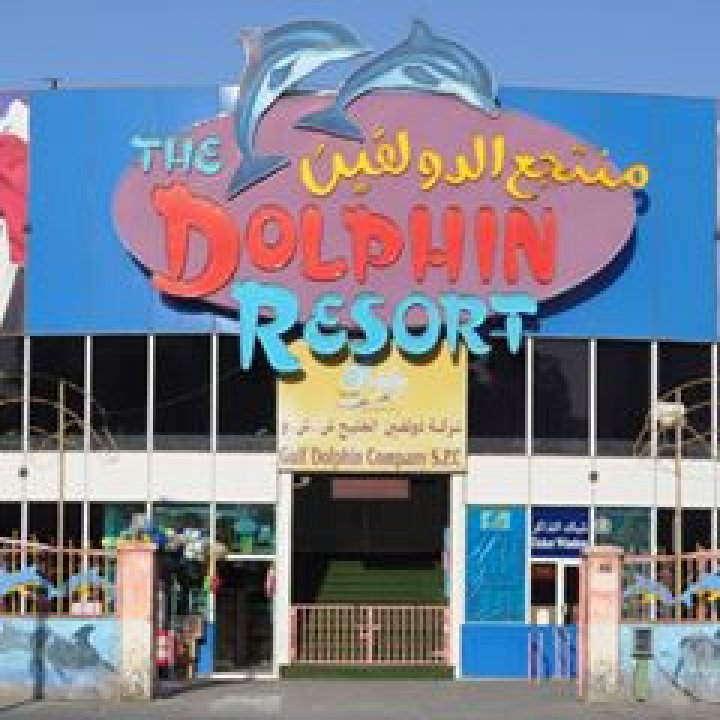 مطاعم الدولفين  Dolphin Restaurant