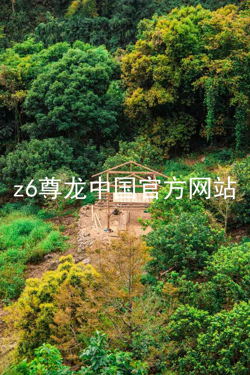 z6尊龙中国官方网站