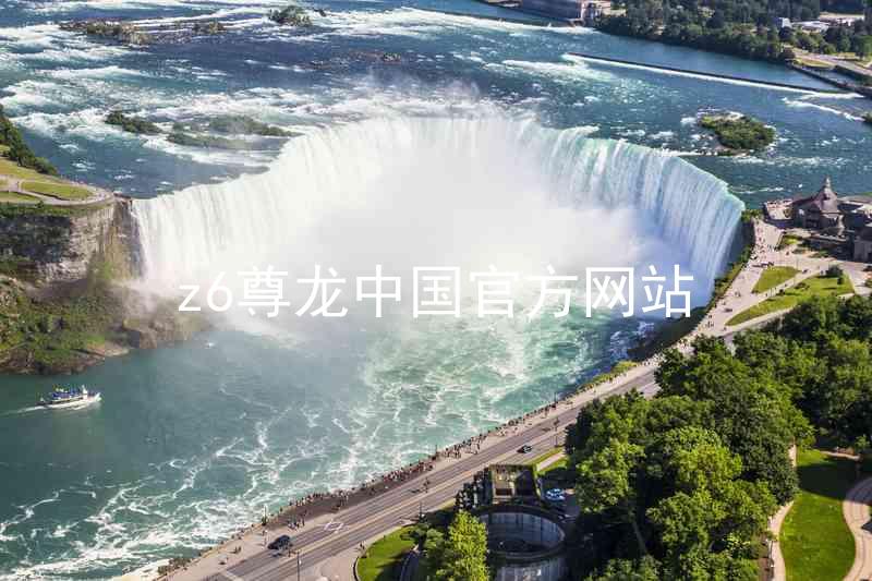 z6尊龙中国官方网站